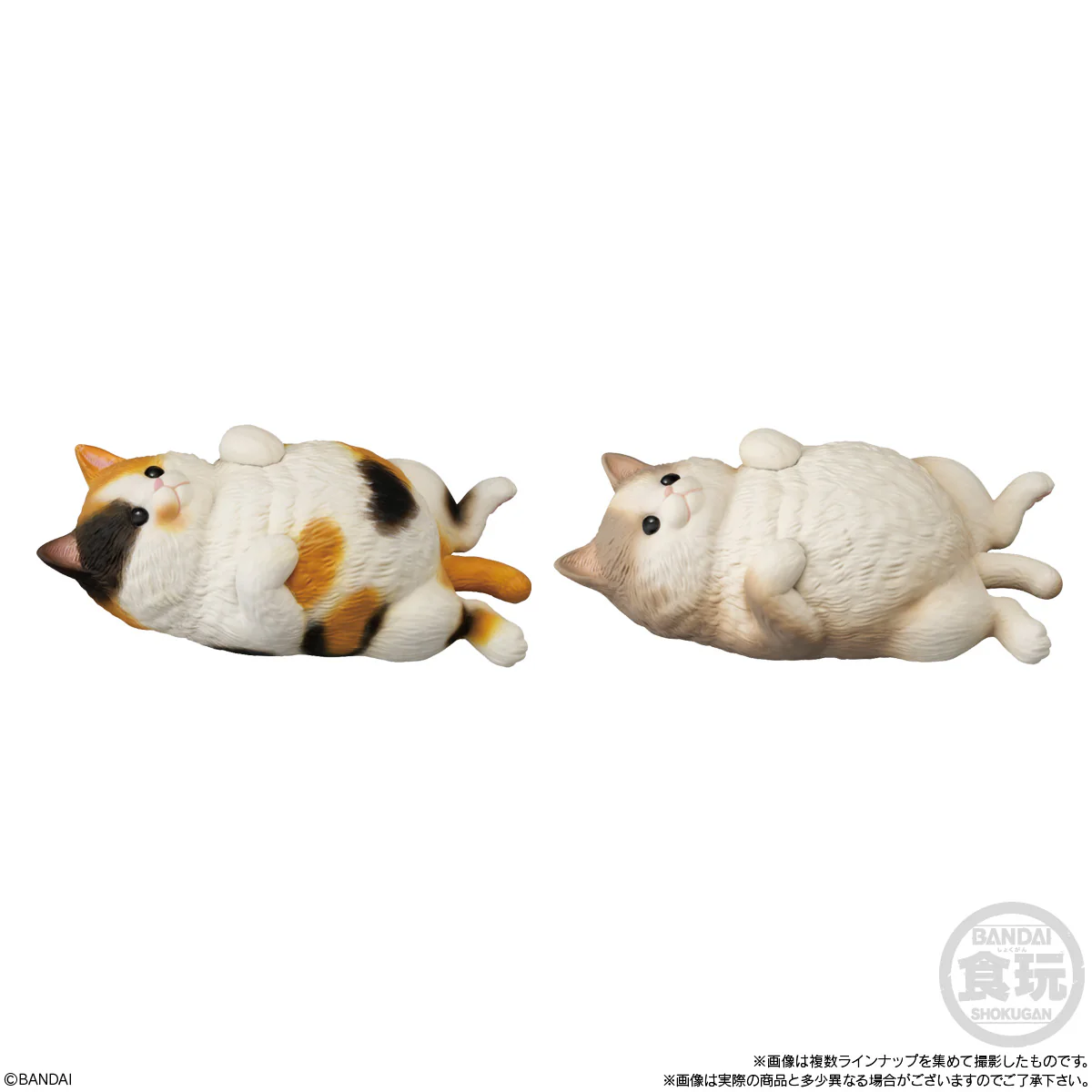 Bandai Shokugan Mocchiri Kororin Mocchiri Kororin Cats (1 Random PC) - Image 2