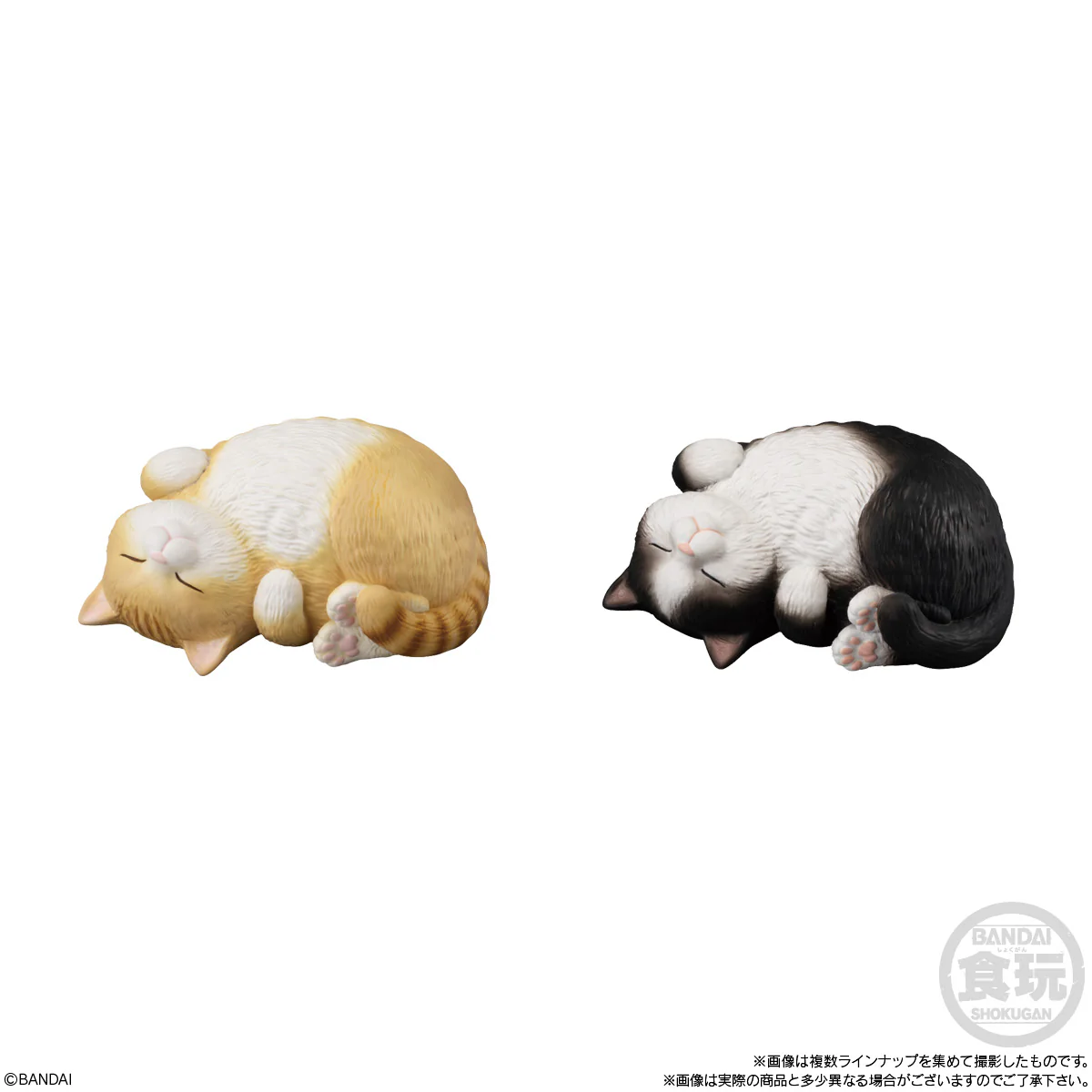 Bandai Shokugan Mocchiri Kororin Mocchiri Kororin Cats (1 Random PC) - Image 3