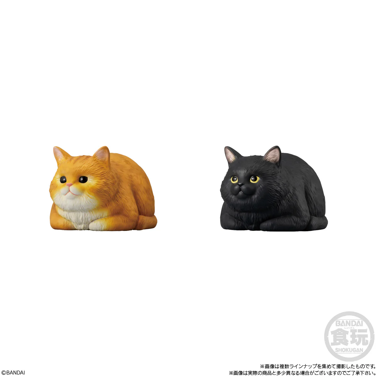 Bandai Shokugan Mocchiri Kororin Mocchiri Kororin Cats (1 Random PC) - Image 4