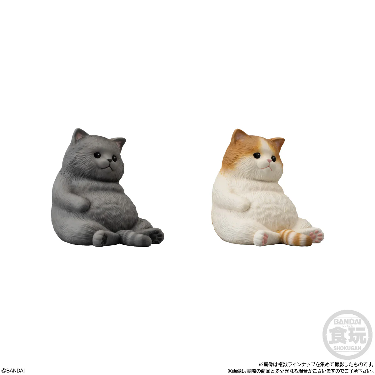 Bandai Shokugan Mocchiri Kororin Mocchiri Kororin Cats (1 Random PC) - Image 5
