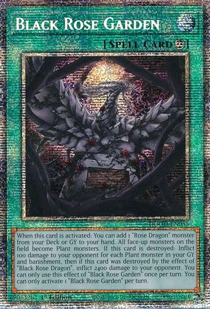 Black Rose Garden (Starlight Rare) [DOOD-EN055] - Doom of Dimensions 1st Edition - Starlight Rare