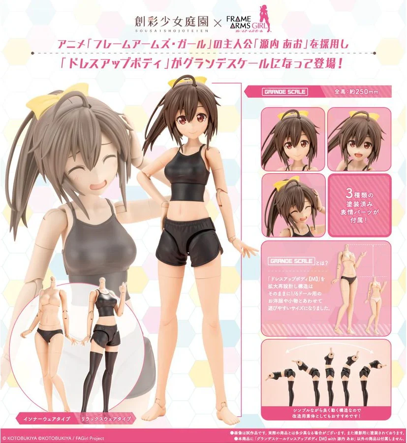 GRANDE SCALE DRESS UP BODY【M】with Ao Gennai - Image 2