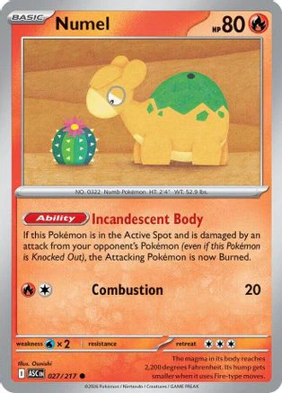 Numel - (027/217) Reverse Holofoil [ME Ascended Heroes]